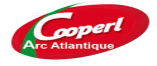Formation Management de l'Innovation